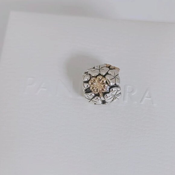 Pandora 2020 Limited Edition Four-leaf Clover Charm S925 Silver with box - Picture 3 of 8